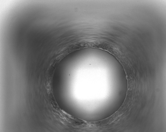 X0000068261109200605051742