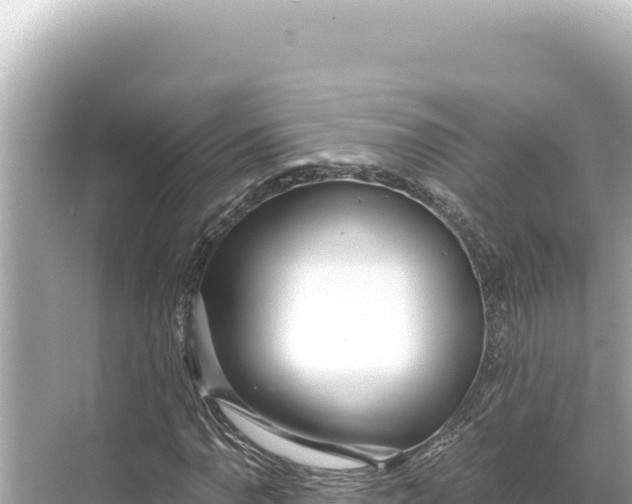 X0000068261110200605051742