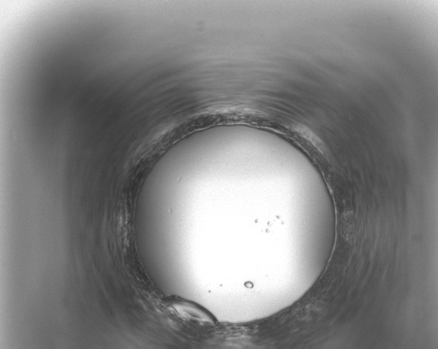 X0000068261111200605051742