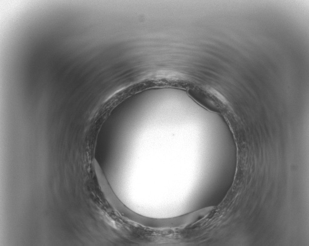 X0000068261112200605051742