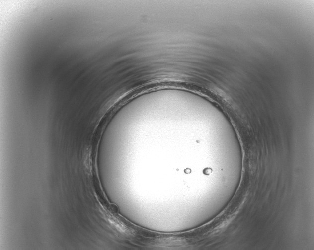 X0000068261113200605051742