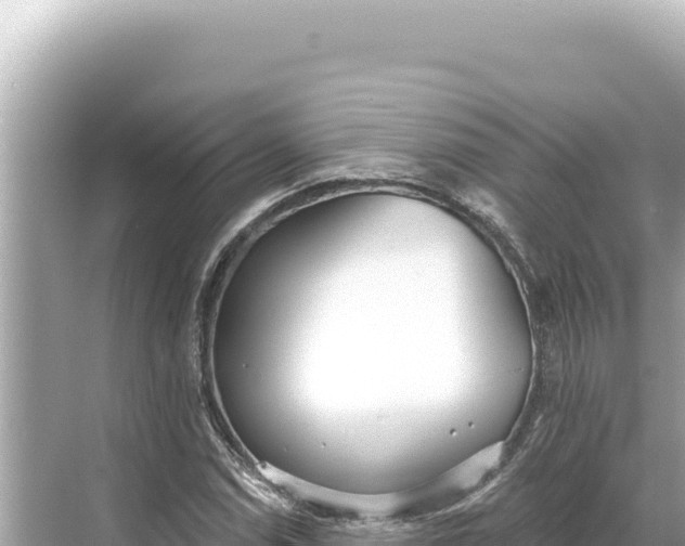 X0000068261114200605051742