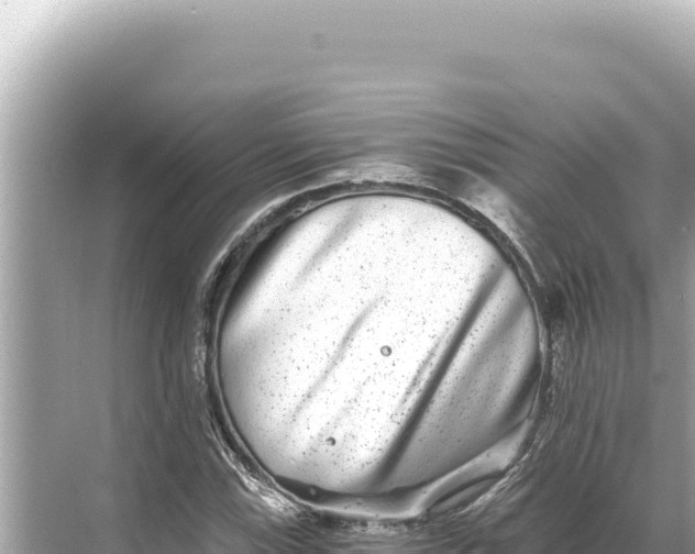 X0000068261115200605051742