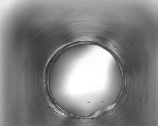 X0000068261116200605051742