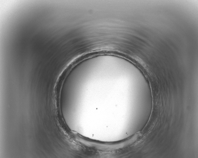 X0000068261118200605051742