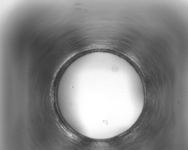 X0000068261119200605051742