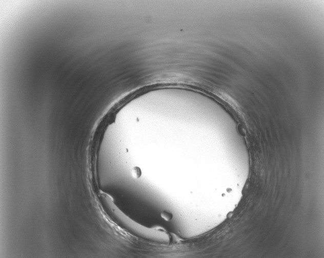 X0000068261120200605051742