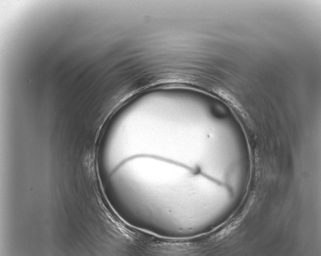 X0000068261121200605051742