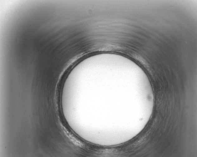 X0000068261122200605051742