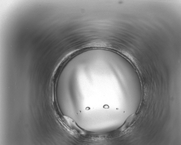 X0000068261123200605051742