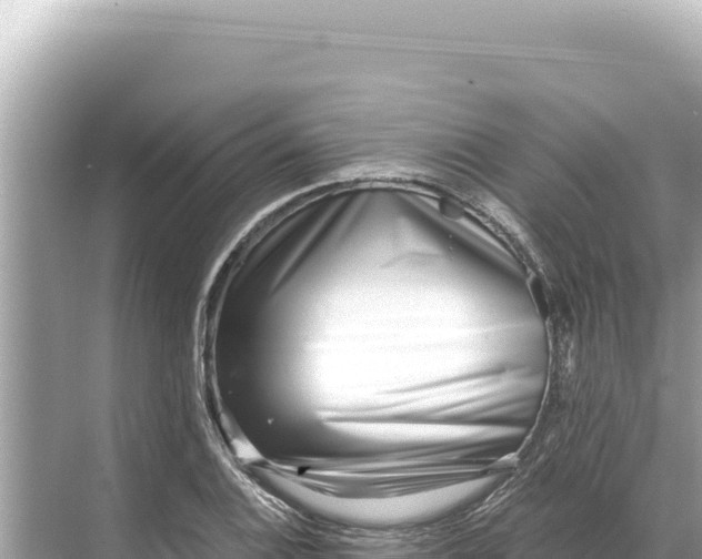 X0000068261124200605051742