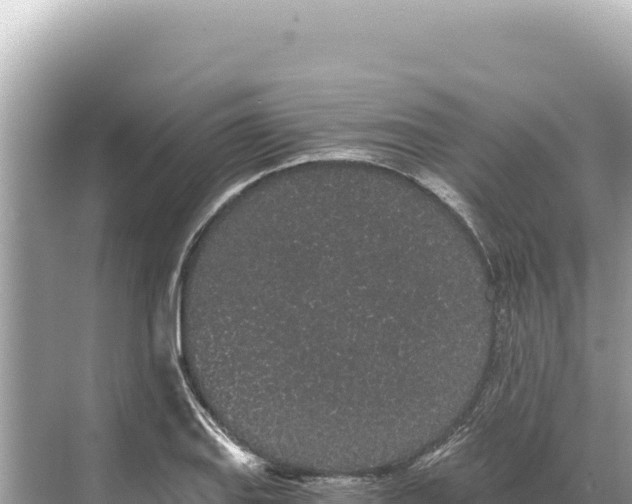 X0000068261127200605051742