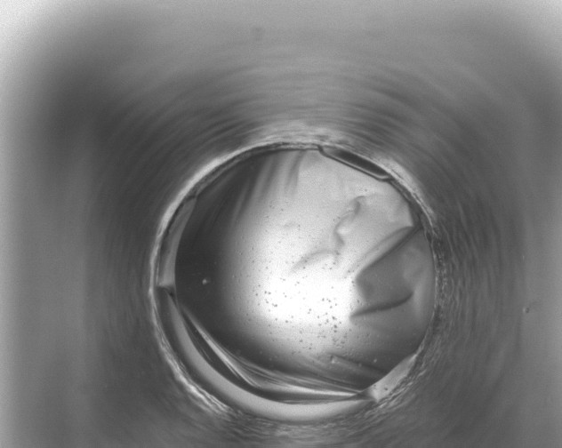 X0000068261128200605051742