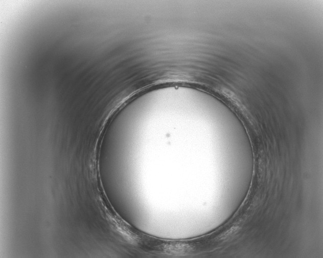 X0000068261129200605051742