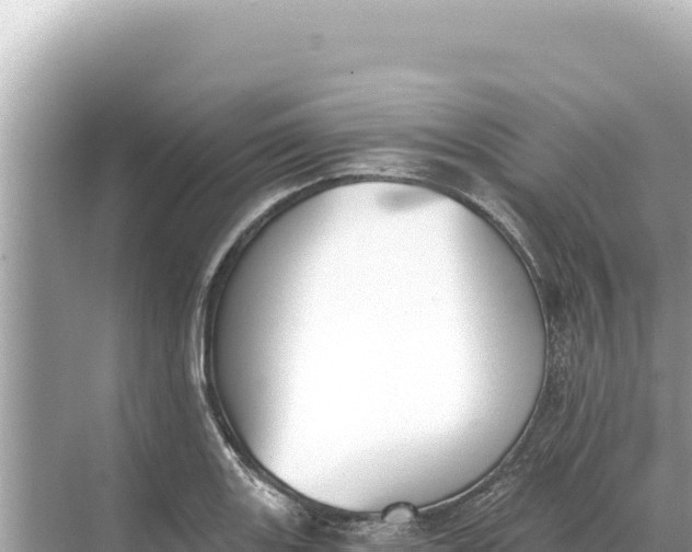 X0000068261131200605051742