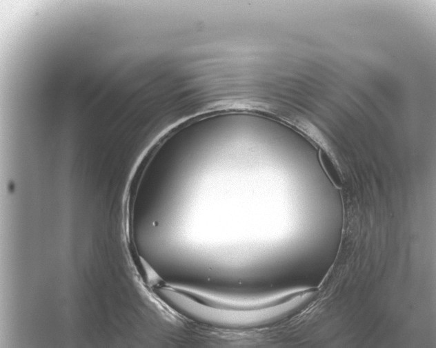 X0000068261132200605051742