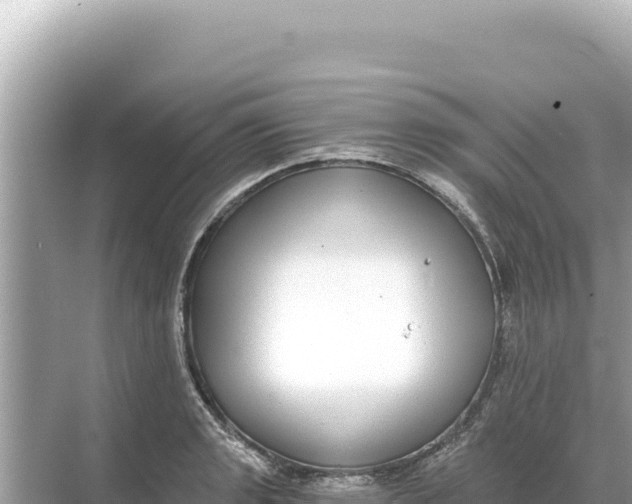 X0000068261133200605051742