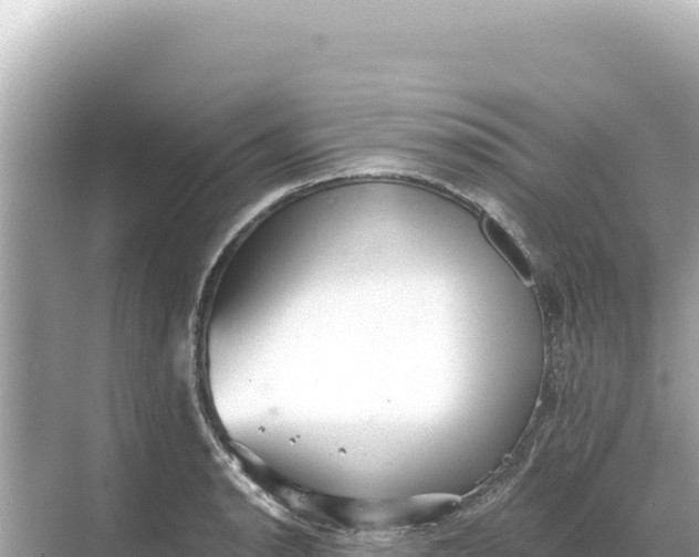 X0000068261134200605051742