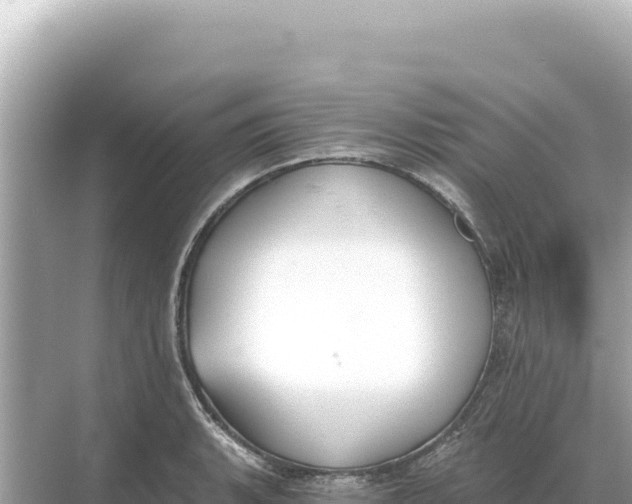 X0000068261135200605051742