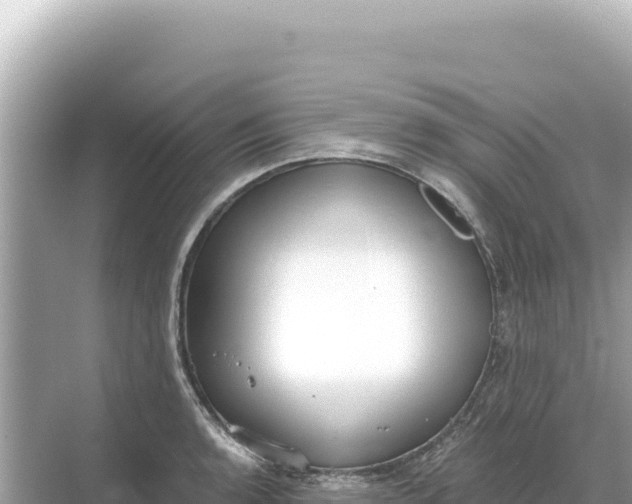 X0000068261136200605051742