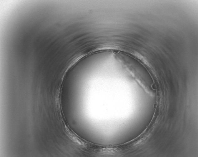 X0000068261137200605051742