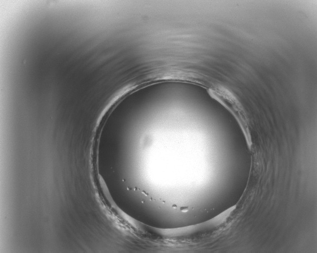 X0000068261138200605051742