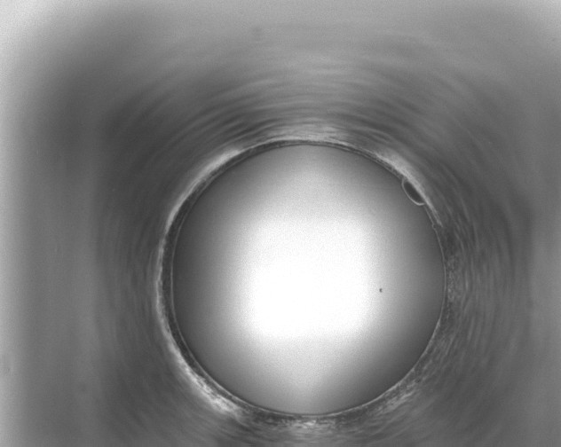 X0000068261139200605051742