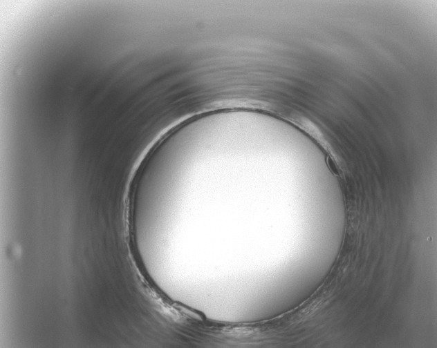 X0000068261140200605051742