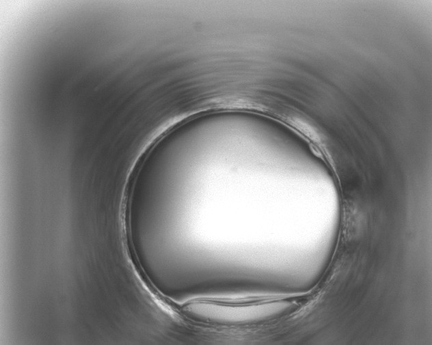 X0000068261141200605051742