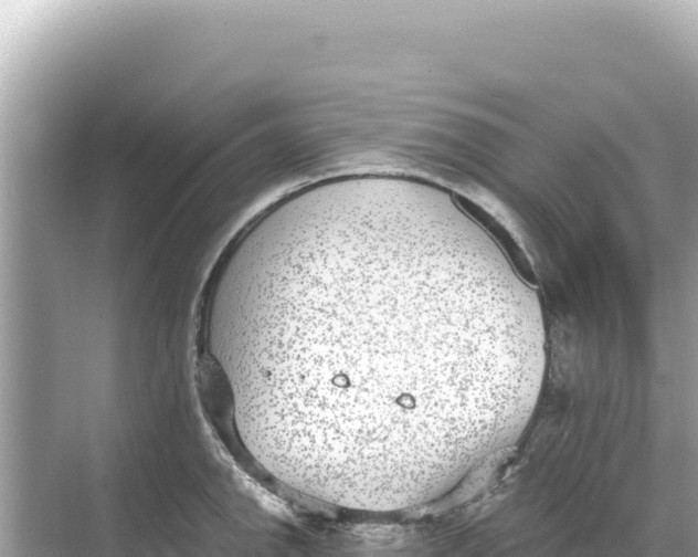 X0000068261142200605051742