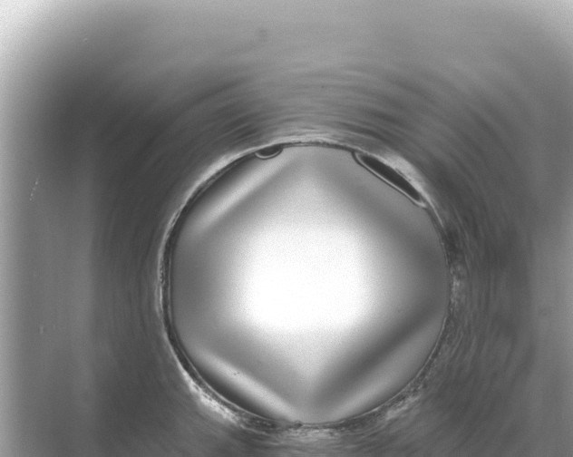 X0000068261143200605051742