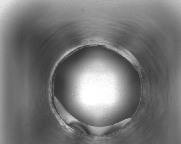 X0000068261144200605051742