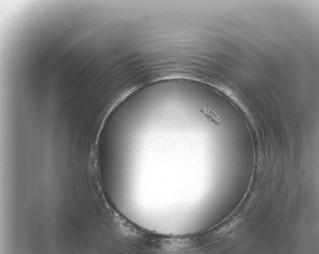 X0000068261145200605051742