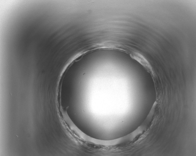 X0000068261146200605051742