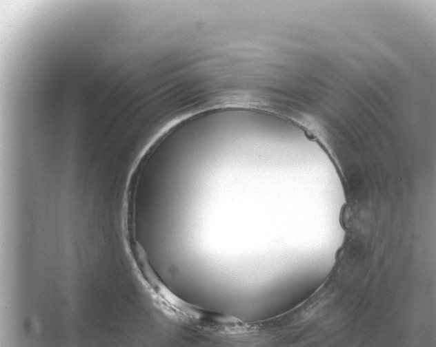 X0000068261147200605051742