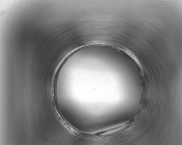 X0000068261148200605051742