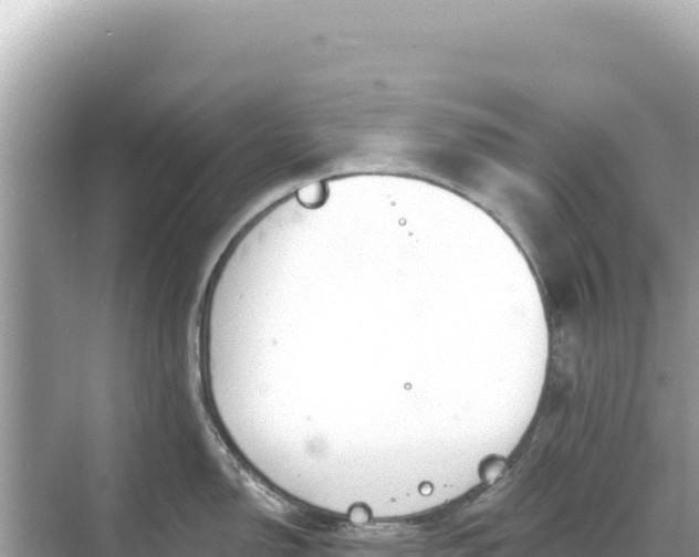 X0000068261150200605051742