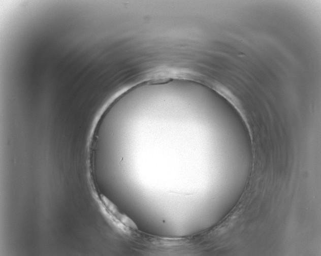 X0000068261152200605051742