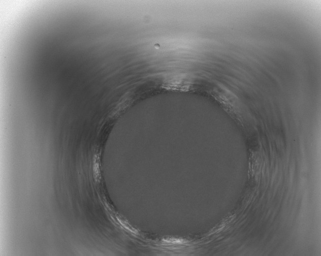 X0000068261154200605051742