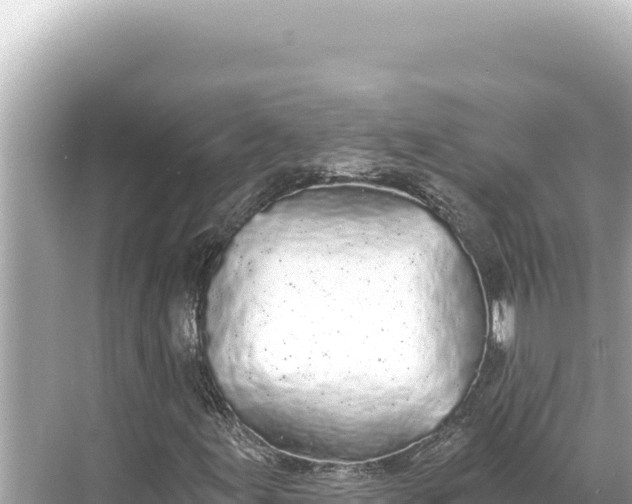 X0000068261155200605051742