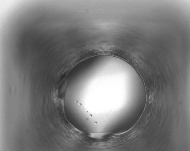 X0000068261156200605051742