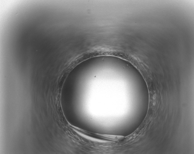 X0000068261157200605051742