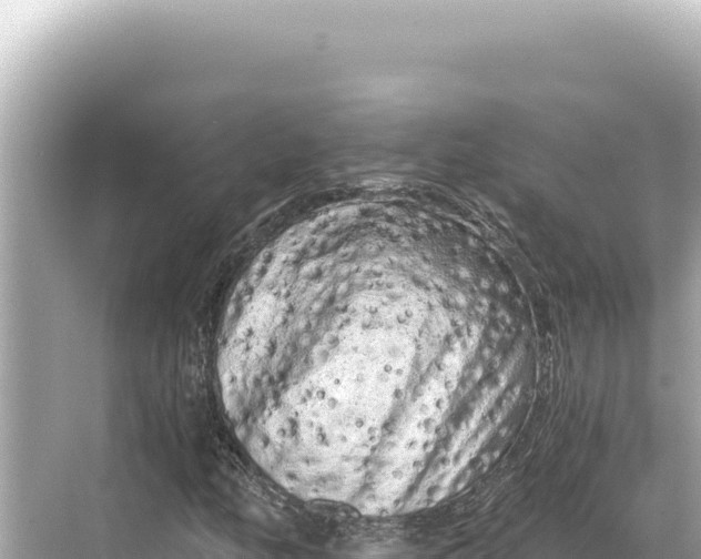 X0000068261158200605051742