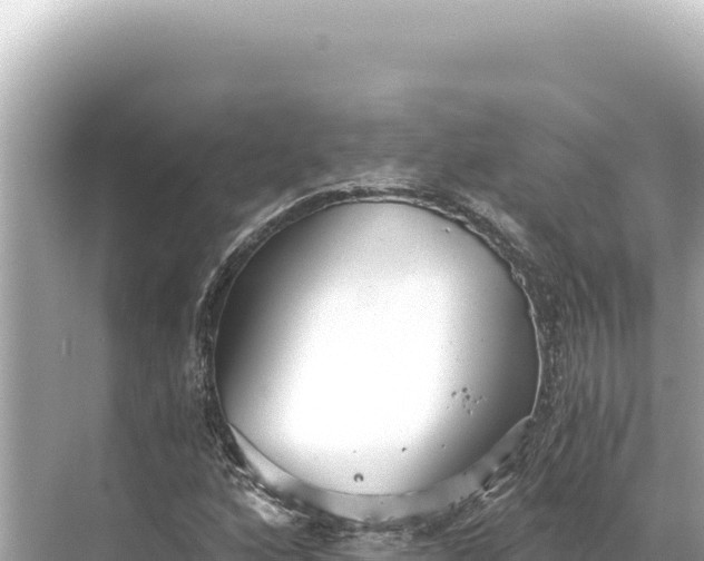 X0000068261160200605051742