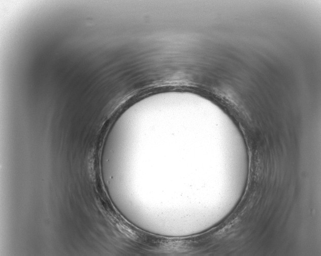 X0000068261162200605051742