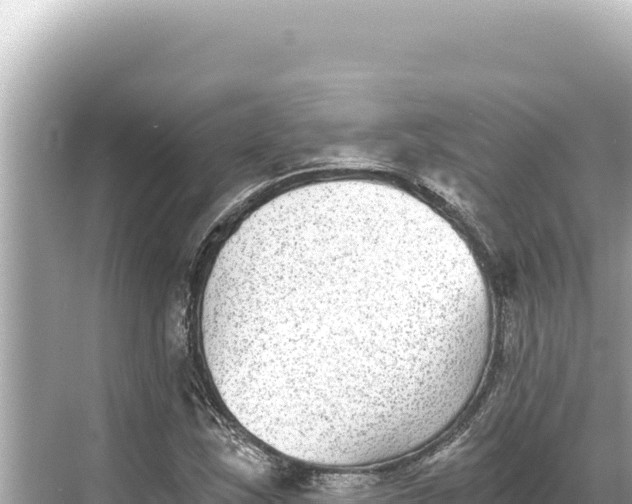 X0000068261163200605051741