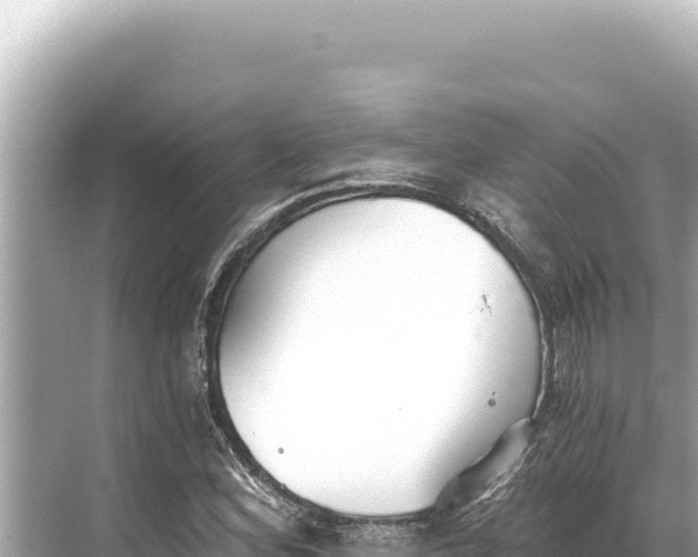 X0000068261164200605051741