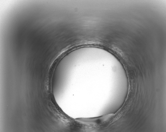 X0000068261165200605051741