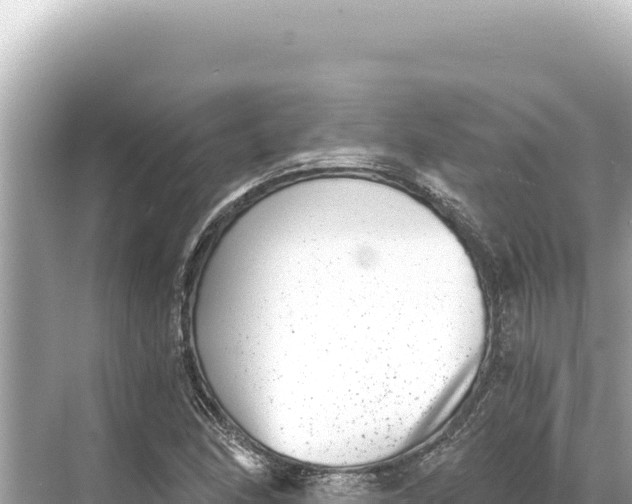 X0000068261166200605051741