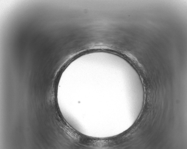 X0000068261167200605051741